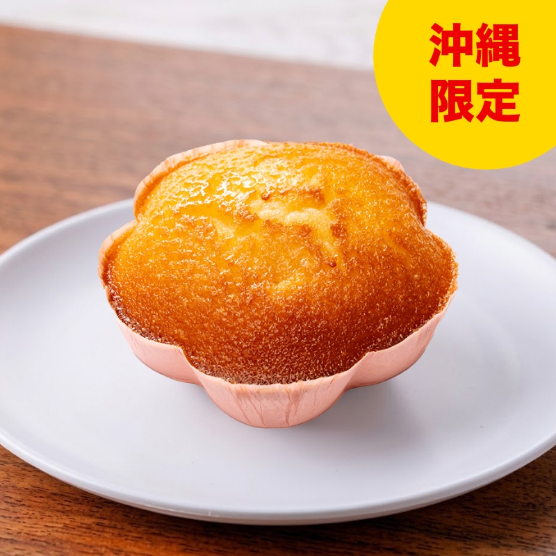 お菓子のEBISU既存品　名護桜