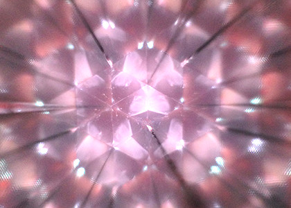 アートアクアリウム（カレイドニウム）