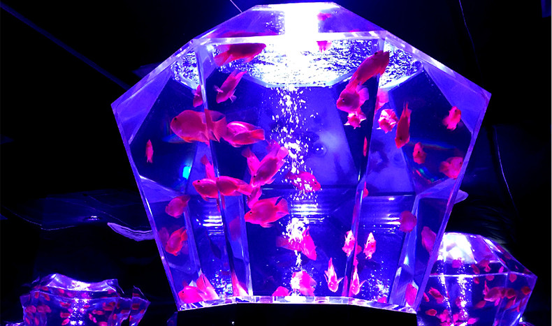 アートアクアリウム（プリズリウムNO.18）