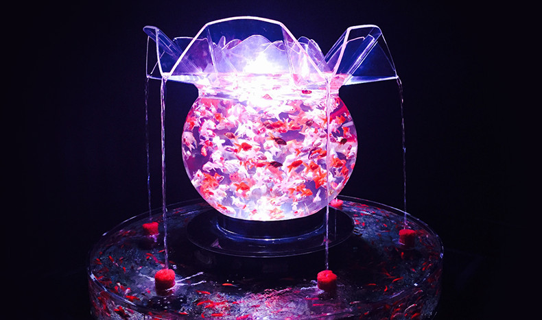 アートアクアリウム（花魁）