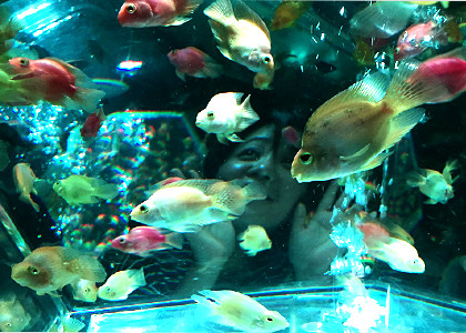 アートアクアリウムで水中風写真