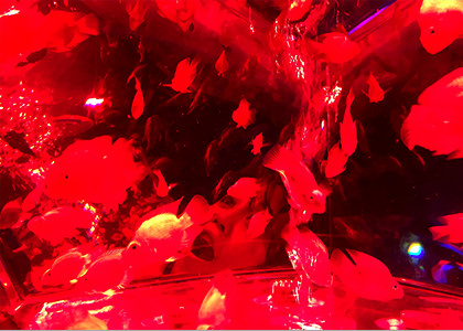 アートアクアリウムでホラー写真