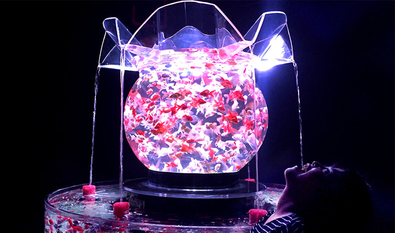 アートアクアリウムの水を飲んでみた？！